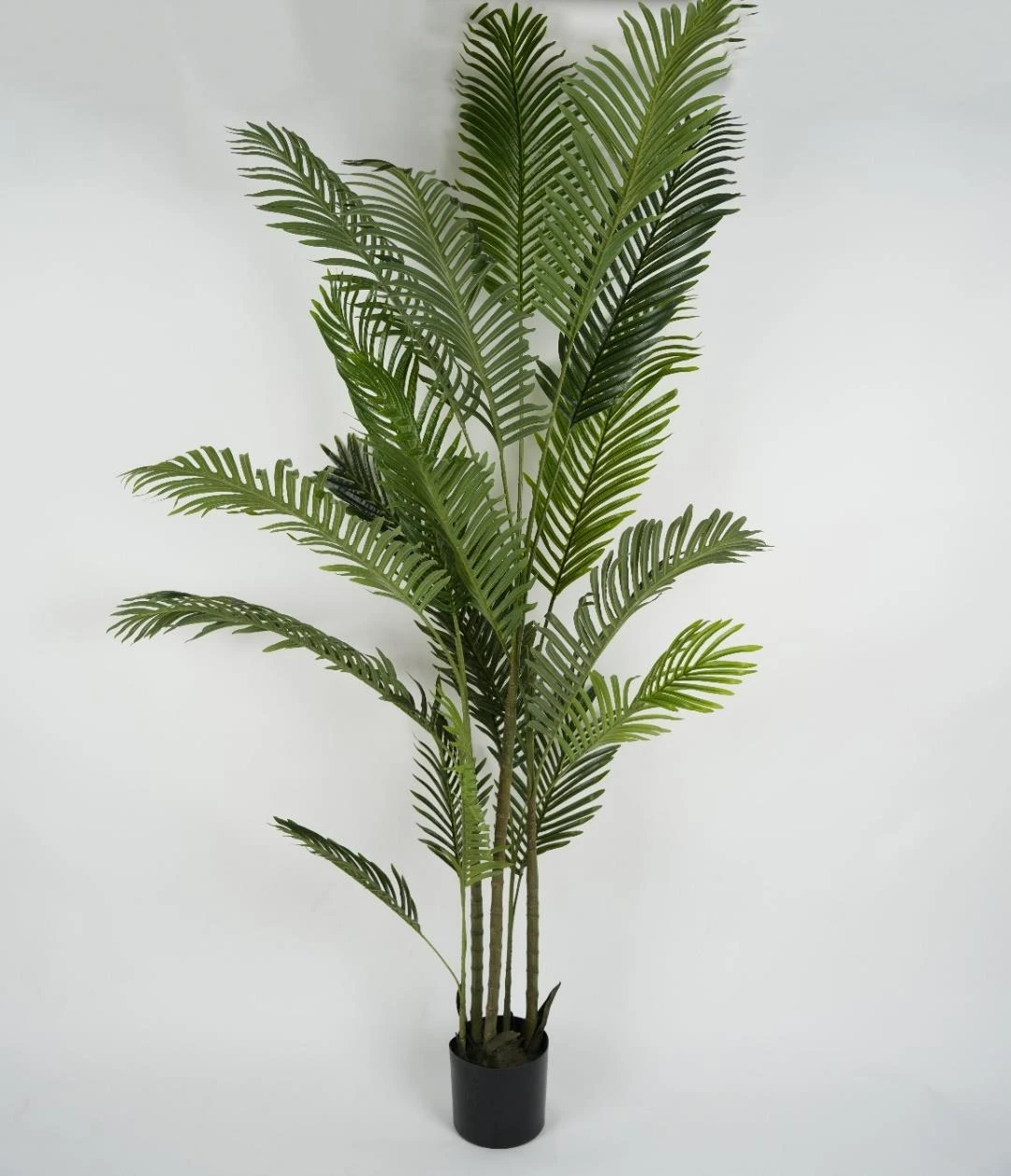 Areca Palm Tree x18 Lvs PE Leaves And PU Trunk 180cm